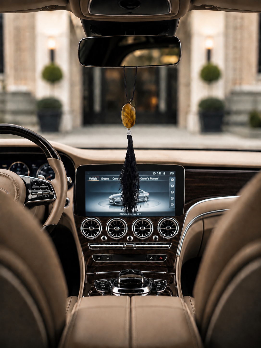 Rearview Mirror Hanger, Car Charm, Black Boho Tassel, Personalized Tiger Eye Pendant